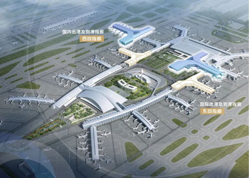 白云机场 两条全新指廊投运 提前锁定国内年旅客吞吐量 四连冠